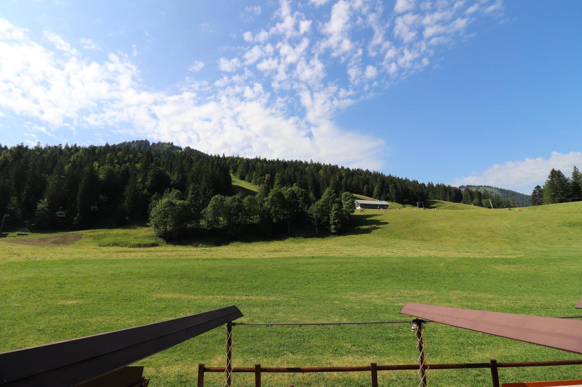 Отель Schelpenalp Бальдершванг