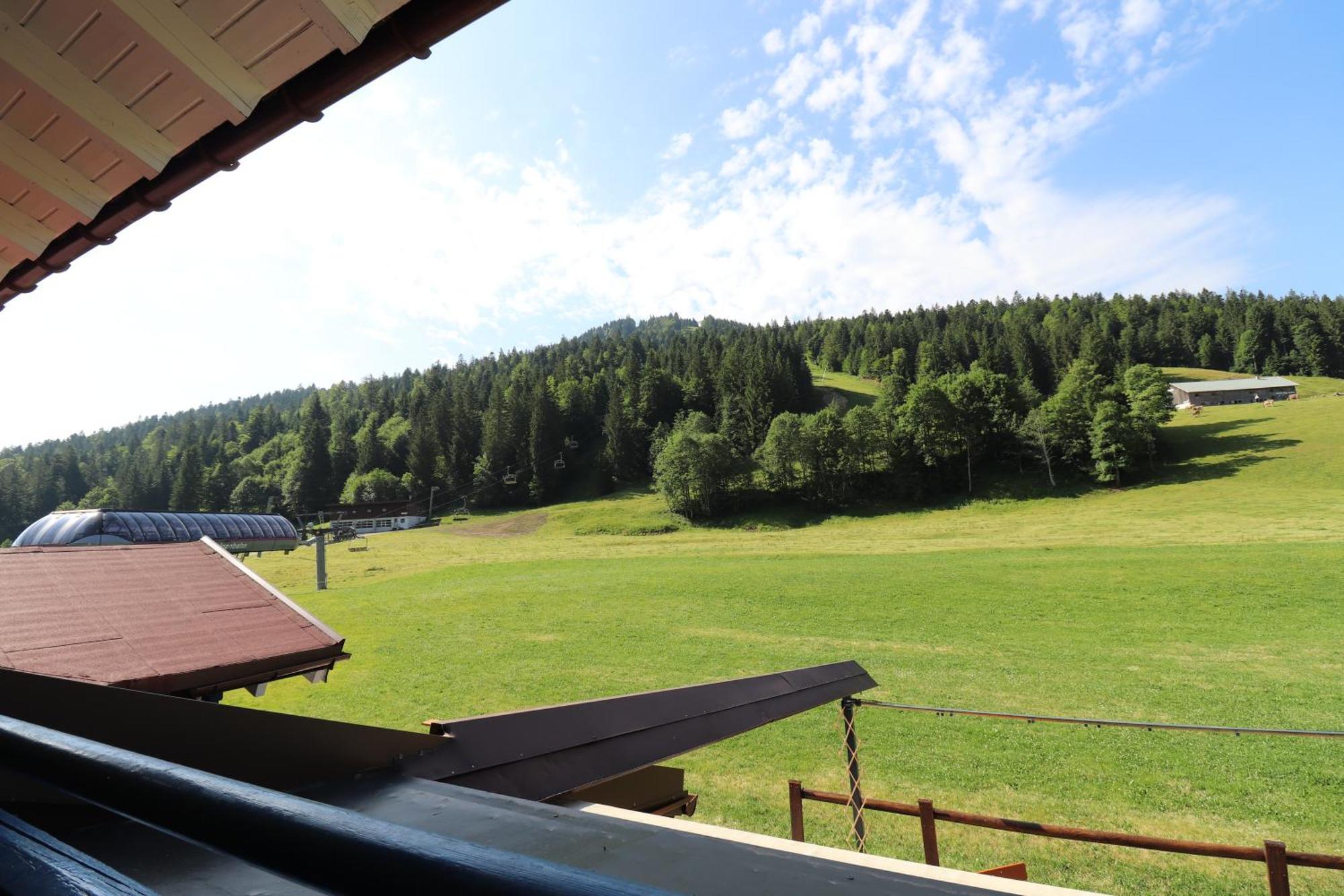 Schelpenalp Бальдершванг