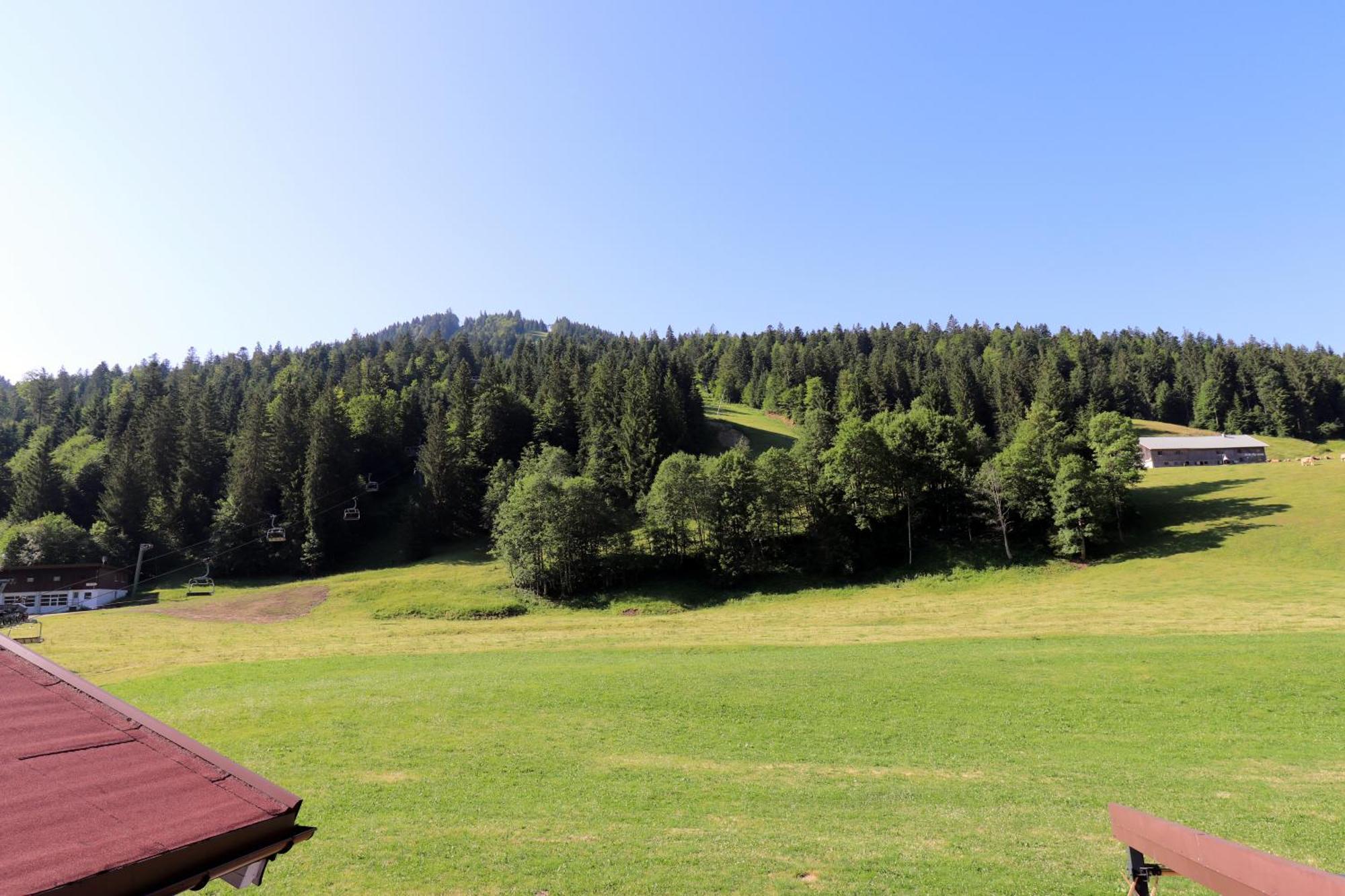 Schelpenalp